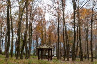 中国福建省霞浦县榕枫公园