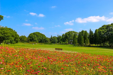 中国福建省福州市园林风光