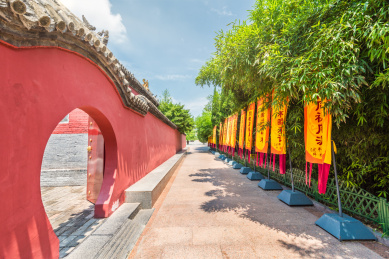 河南郑州新郑黄帝故里景区的竹林与文化长廊