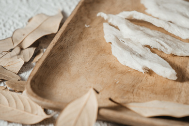 木头盘子上燕窝燕条