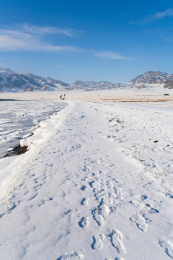 中国新疆赛里木湖的冰面
