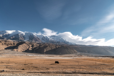 中国新疆帕米尔高原的草场