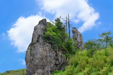 中国湖北省神农架林区的板壁岩
