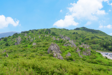 中国湖北省神农架林区的板壁岩
