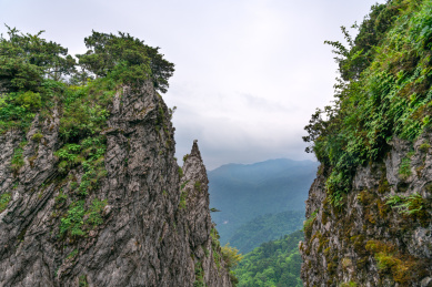 中国湖北省神农架林区的板壁岩