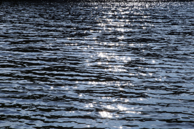 波光粼粼的水面 白昼