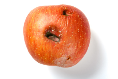 腐烂的苹果的样子图片图片