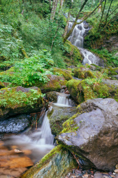 中国湖北省神农架林区的金猴岭