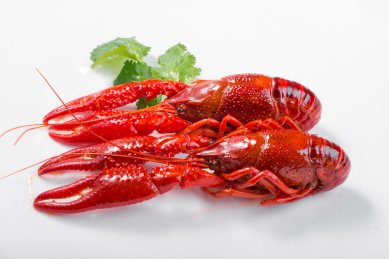 中国菜系之油焖麻辣小龙虾