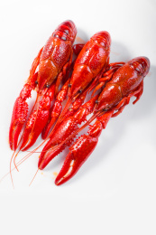 中国菜系之油焖麻辣小龙虾