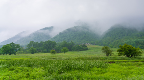 中国湖北省神农架林区的大九湖