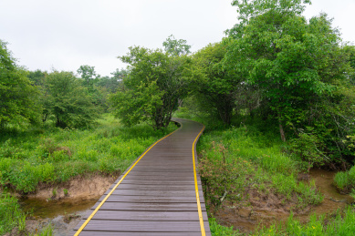中国湖北省神农架林区的大九湖