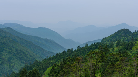 中国湖北省神农架林区的神农谷