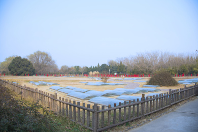 河南安阳 国家5A景区世界文化遗产殷墟 