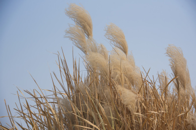 河南安阳 国家5A景区世界文化遗产殷墟 