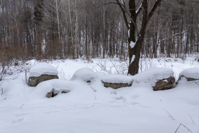中国雪谷积满着厚厚的雪的石头和背景的树林