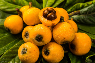 切开露出枇杷核的新鲜枇杷