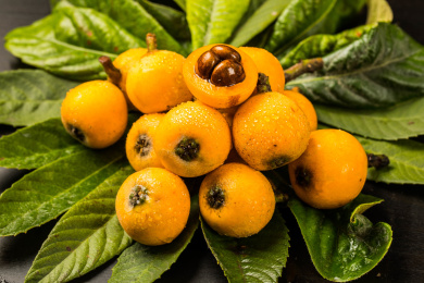 切开露出枇杷核的新鲜枇杷