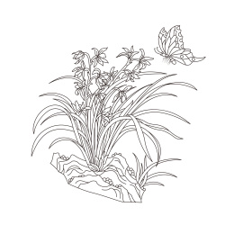 兰花传统线条花卉图案
