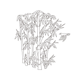 竹子植物传统线条图案