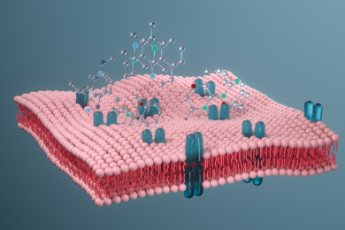 细胞膜磷脂双分子层与化学分子 三维渲染