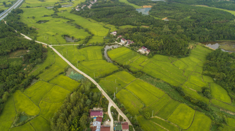 航拍安徽郎溪凌笪乡初秋田园风光