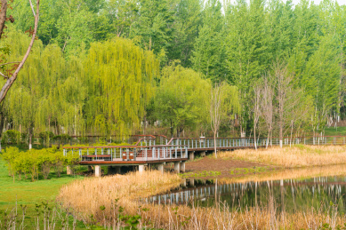 春天北京延庆世园会公园里的湖岸