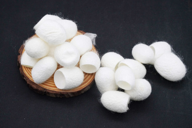 白色蚕茧蚕丝丝绸原料物品