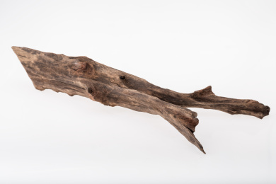 水族箱用乌木沉木在白底背景上