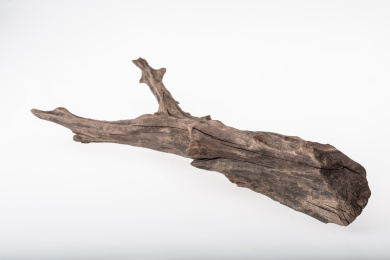 水族箱造景用乌木沉木在白底背景上