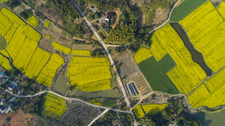 航拍美好乡村田园风光