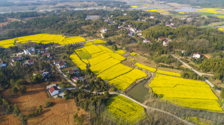航拍美好乡村田园风光