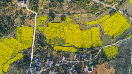 航拍美好乡村田园风光