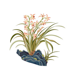 兰花传统花卉图案