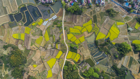 航拍安徽郎溪凌笪乡下吴村罗市中心村田园春