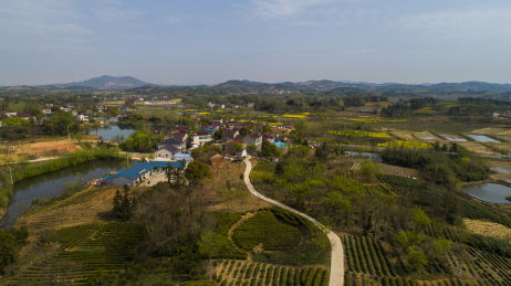 航拍安徽郎溪凌笪乡田园风光