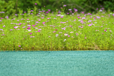 一个塑胶跑道旁开满了五颜六色的花朵