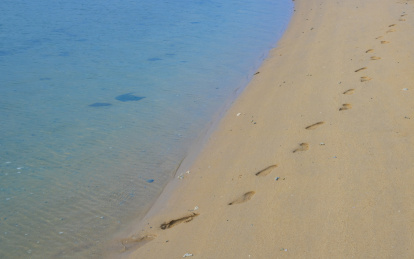 中国海南海边沙滩上的一行脚印