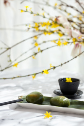 春天里的美食青团