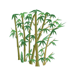 彩色竹子植物传统图案