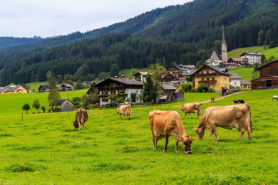 奥地利阿尔卑斯山乡村小镇风景和农场草原上