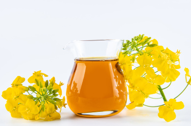 白背景上一瓶油菜籽油和油菜花