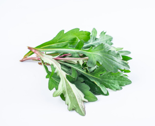 春天的新鲜野菜马兰头