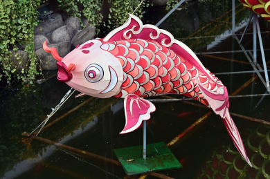 日本鲤鱼灯笼图片
