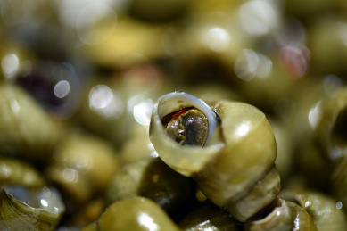 清明节前的螺蛳美食