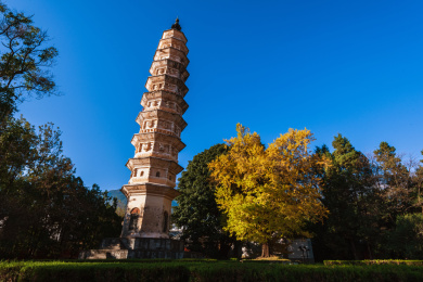 中国云南省大理市崇圣寺古塔秋色