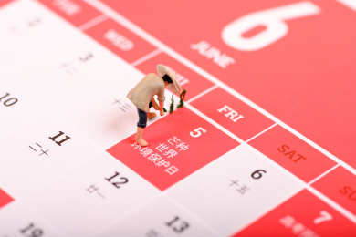 台历上的节气芒种