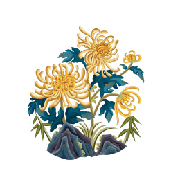 彩色菊花传统花卉图案