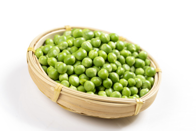 一簸箕新鲜豌豆摆放在白色背景上特写