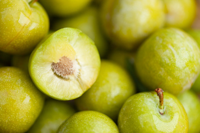 切开的青色李子 李子